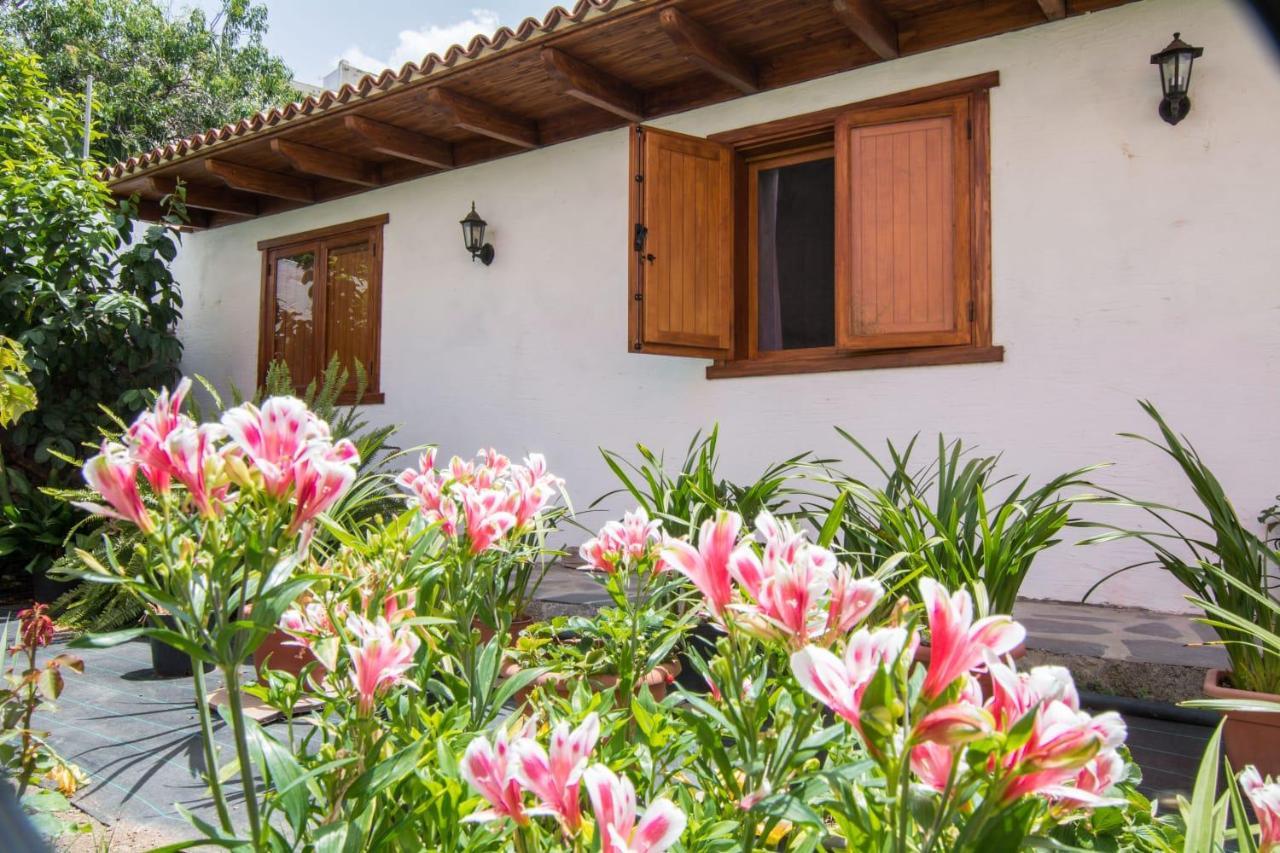 Cozy House Casa Vero Mai Icod De Los Vinos Ngoại thất bức ảnh