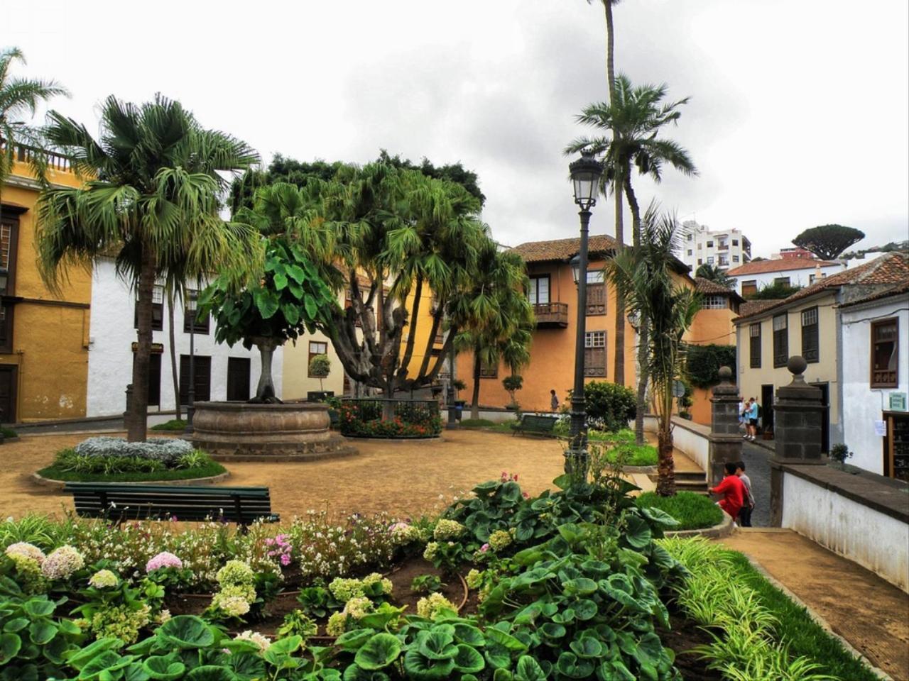 Cozy House Casa Vero Mai Icod De Los Vinos Ngoại thất bức ảnh